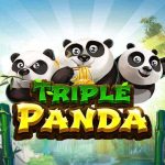 Triple Panda di Judi Slot Bikin Menang Terus Gak Mau Berhenti