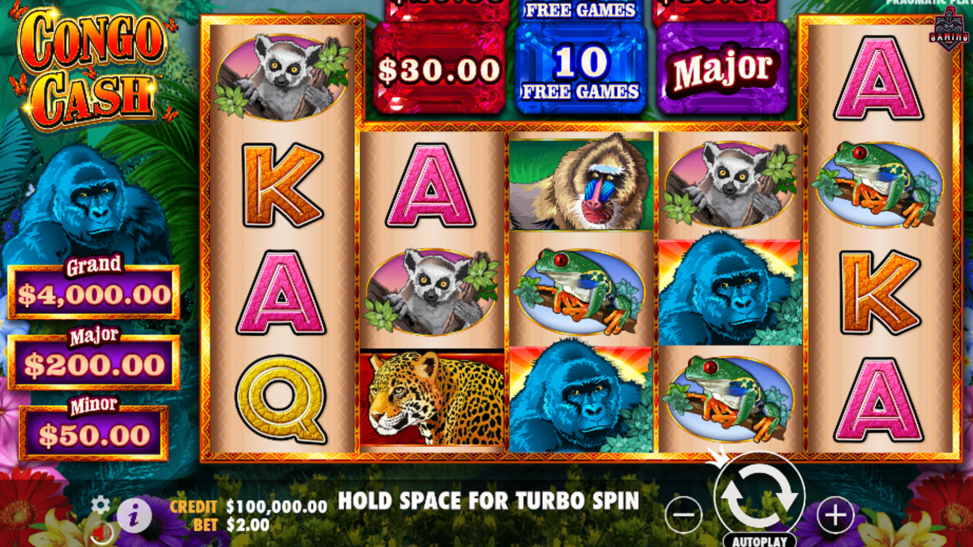 Bongkar Kode Congo Cash! Trik Slot Online Rahasia Terungkap