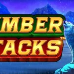 Mengungkap Ruby8000 di Timber Stacks Slot Game Paling Brutal