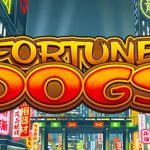 Mengulas Seru Ruby8000 Login dalam Dunia Slot Fortune Dogs