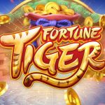Hal yang Membuat Fortune Tiger Slot Menonjol di Rtp8000