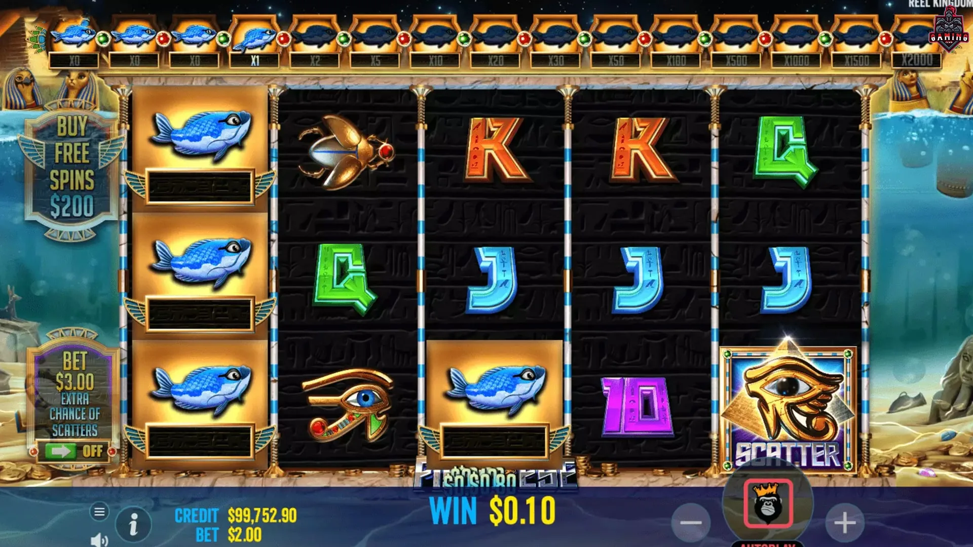 Mengejar Bonus Big Catch di Slot Fish Eye Bersama Ruby8000
