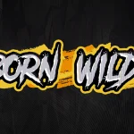 Mengapa Born Wild Sulit? 4 Data Statistik Ini Menjelaskan Alasannya
