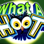 Fenomena What A Hoot: 5 Data Super yang Bikin Netizen Pada Speechless