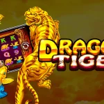 Jangan Disepelekan! 4 Hal Penting Super Gokil di Dragon Tiger