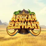 Wild Langka di African Elephant Cuma Ada 4 Jangan Sampai Kelewatan